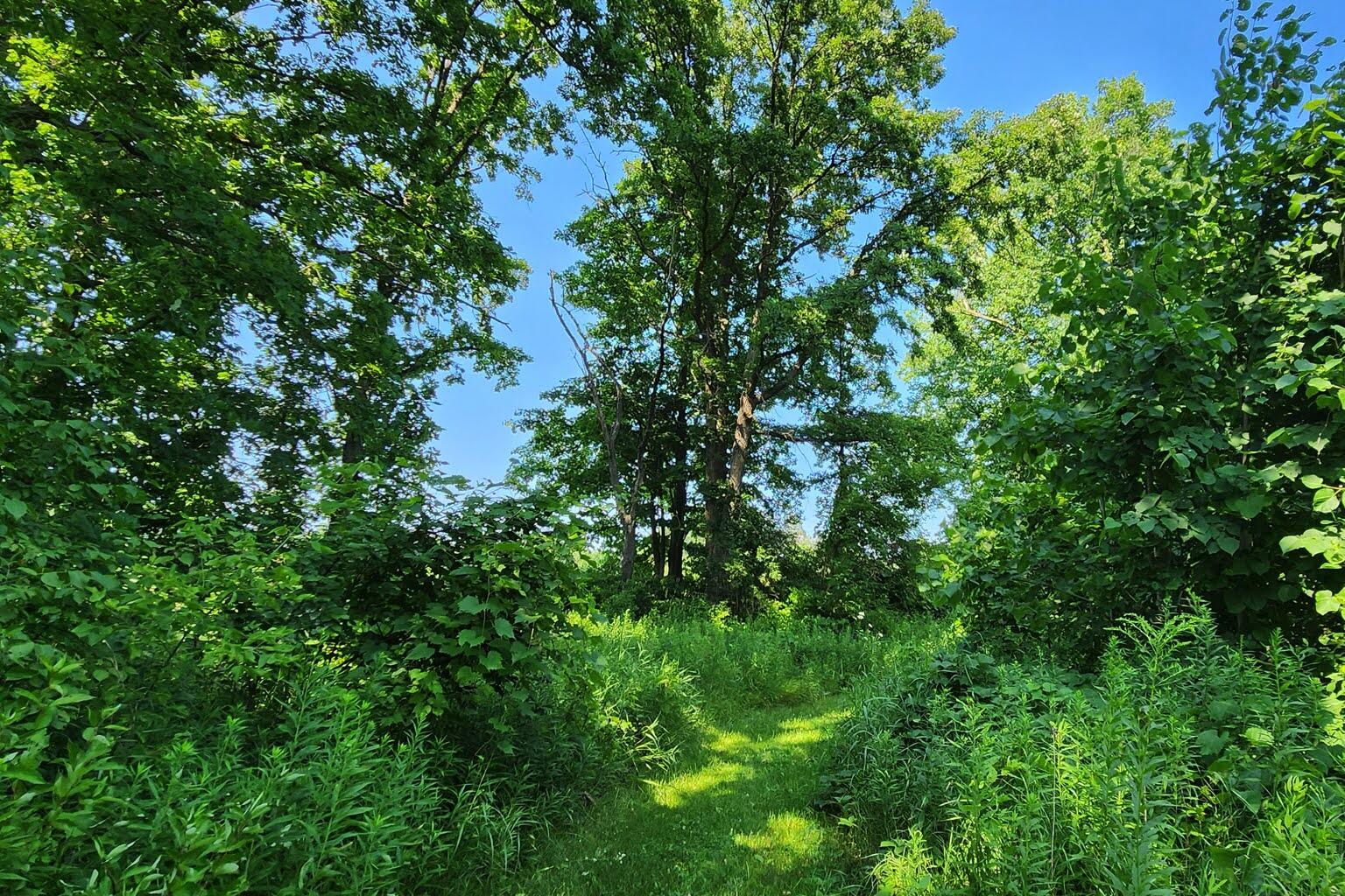 Wisconsin Lake Home for sale (MLS#: 1929441) at W6352  County Road A -, in Sherman, Wisconsin. (50 of 54)