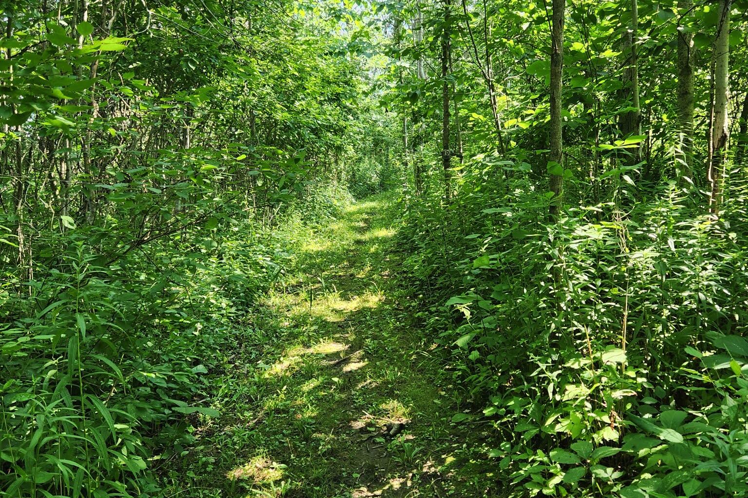 Wisconsin Lake Home for sale (MLS#: 1929441) at W6352  County Road A -, in Sherman, Wisconsin. (51 of 54)