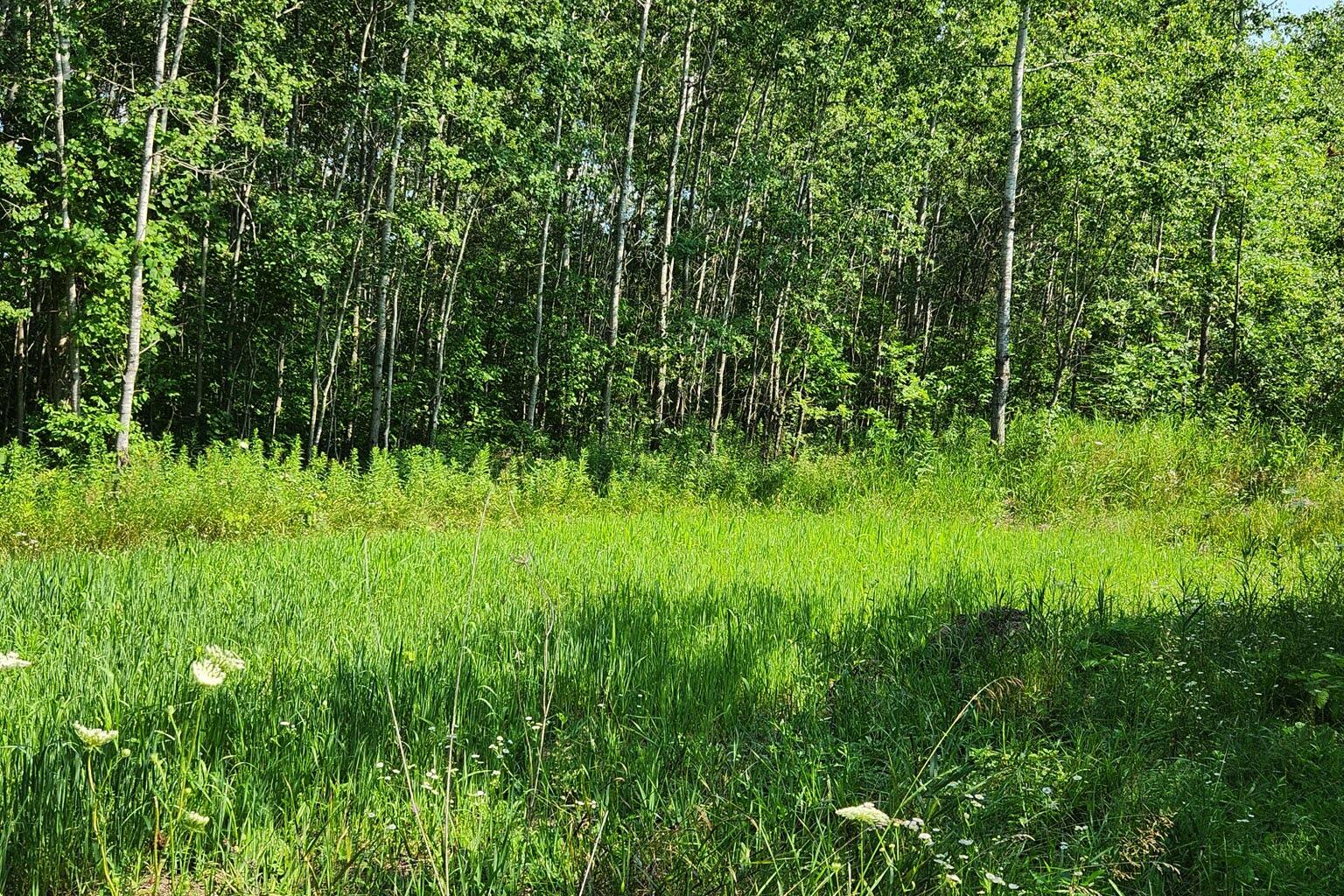 Wisconsin Lake Home for sale (MLS#: 1929441) at W6352  County Road A -, in Sherman, Wisconsin. (53 of 54)
