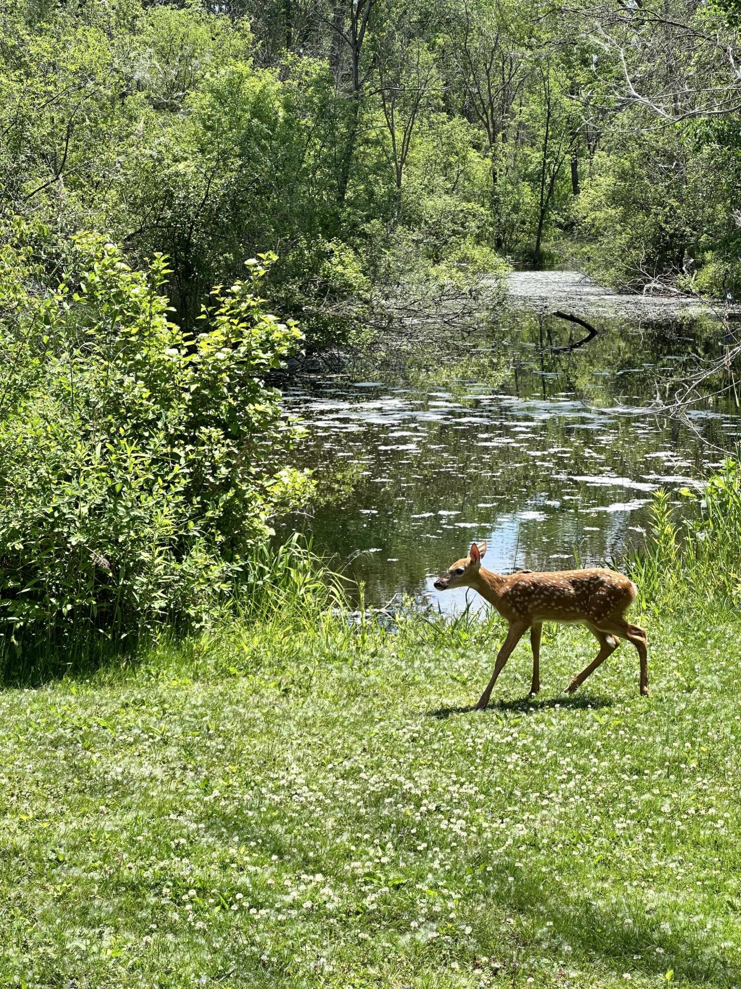 Wisconsin Lake Home for sale (MLS#: 1929585) at N6282  River Heights Dr, in Plymouth, Wisconsin. (2 of 49)