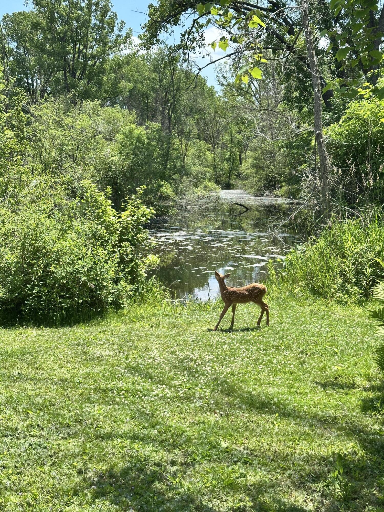 Wisconsin Lake Home for sale (MLS#: 1929585) at N6282  River Heights Dr, in Plymouth, Wisconsin. (49 of 49)
