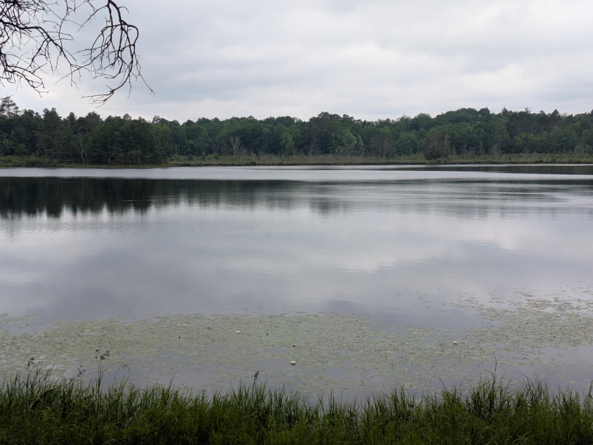 Wisconsin Lake Home for sale (MLS#: 1929939) at 4533  Warner Dr, in Newbold, Wisconsin. (39 of 52)