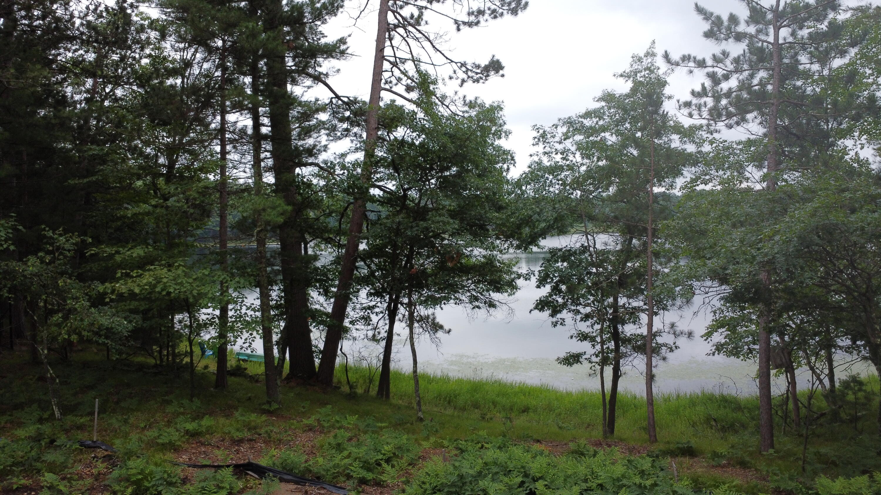 Wisconsin Lake Home for sale (MLS#: 1929939) at 4533  Warner Dr, in Newbold, Wisconsin. (52 of 52)