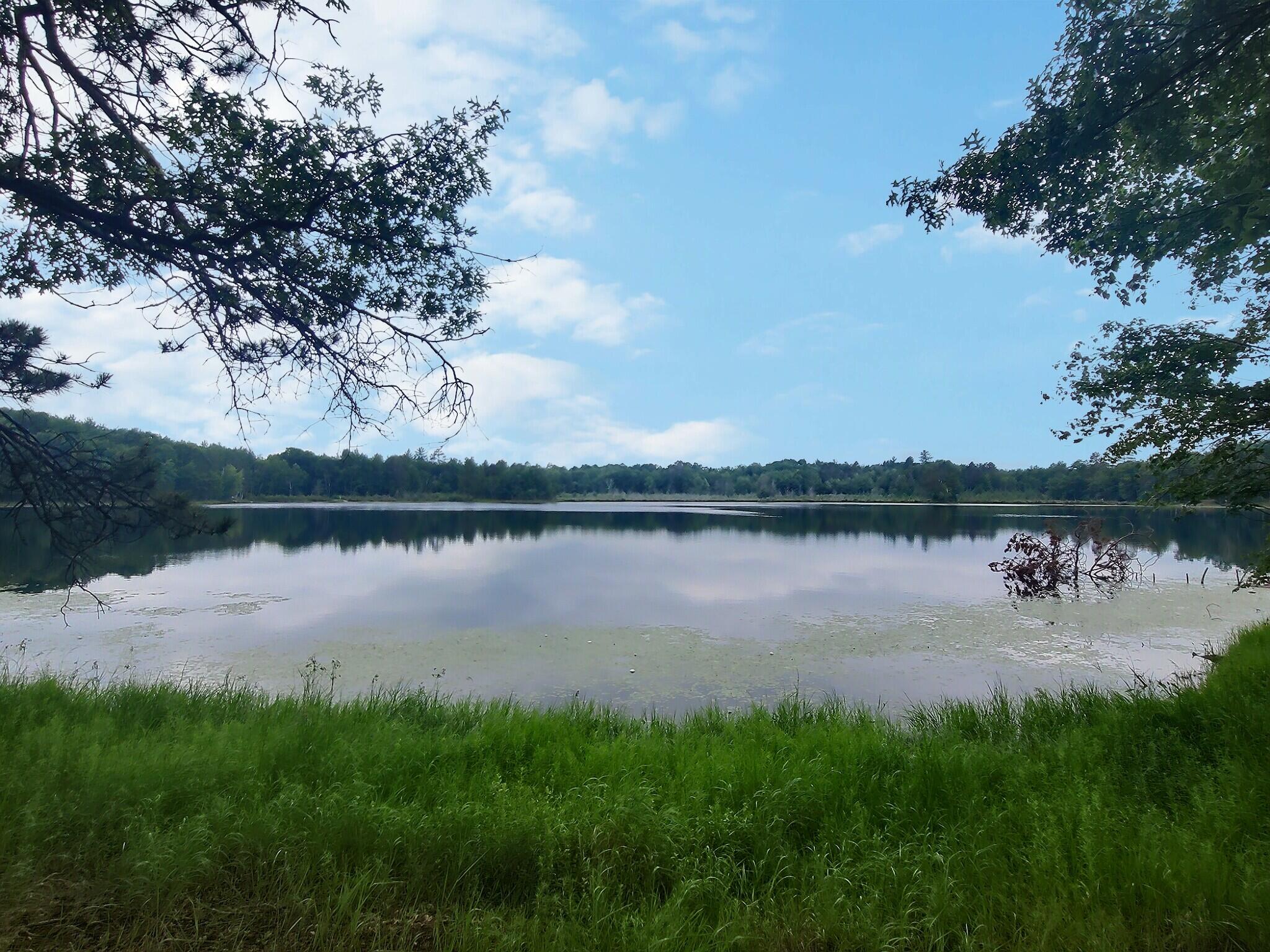 Wisconsin Lake Home for sale (MLS#: 1929939) at 4533  Warner Dr, in Newbold, Wisconsin. (7 of 52)