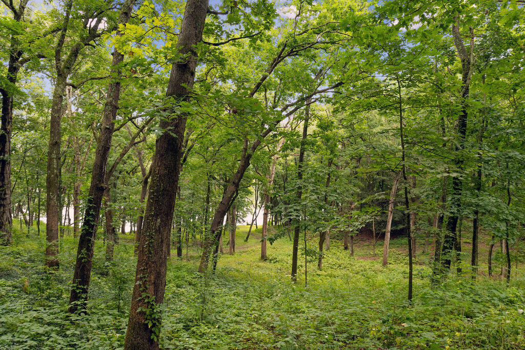 Wisconsin Lake Home for sale (MLS#: 1930480) at W3895  Timber Lake Rd, in Troy, Wisconsin. (13 of 73)