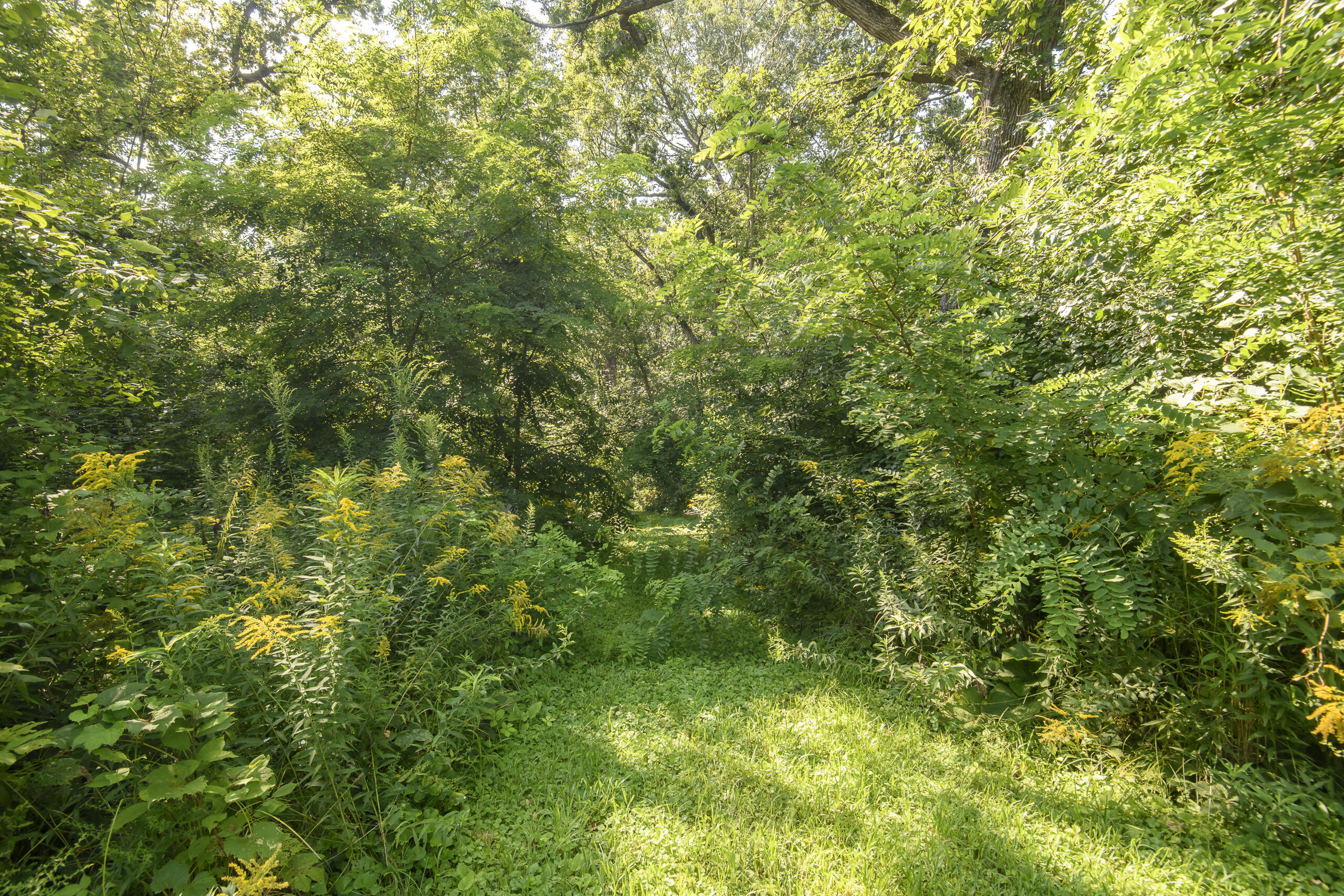 Wisconsin Lake Home for sale (MLS#: 1931060) at N2006  River Oaks Rd, in Portland, Wisconsin. (27 of 28)